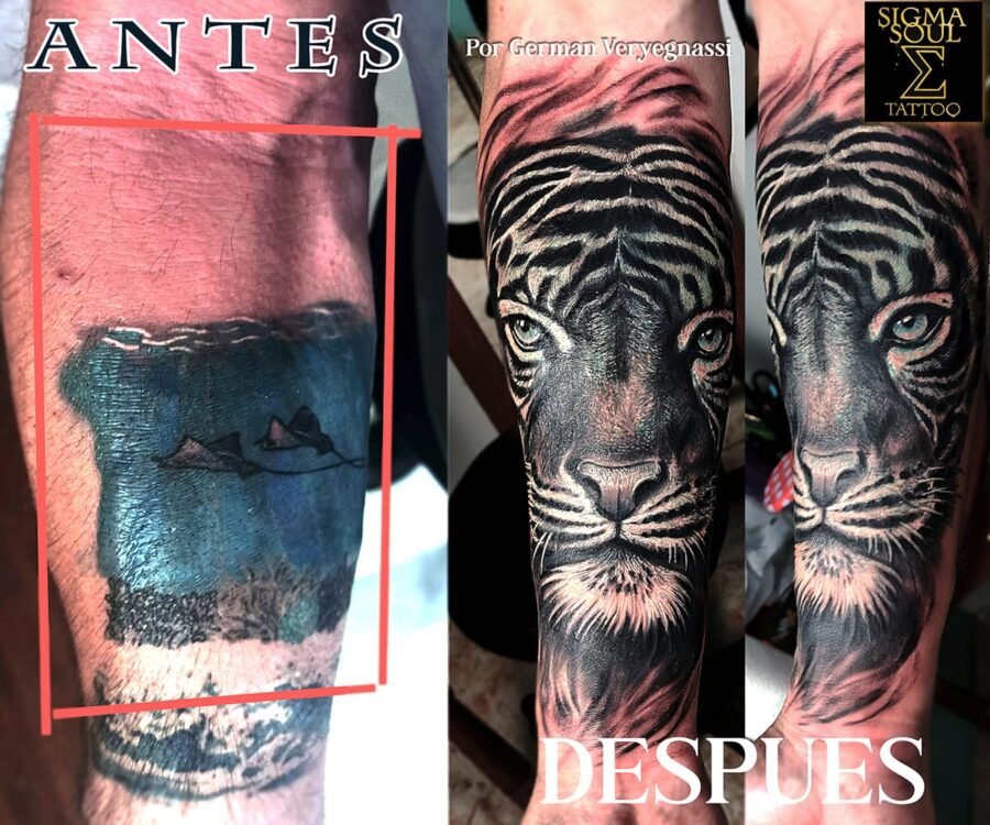 cover escena marina con tigre